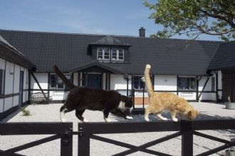 Lyxigt boende på hästgård i vacker natur