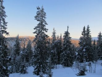 Undervåning i en nybyggd stuga, Sälen/Högfjället