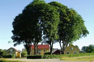Hyr ett hus på en bondgård.