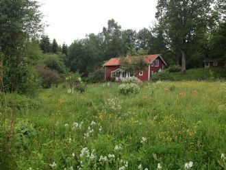 Stuga med kamin, nära High Chaparall