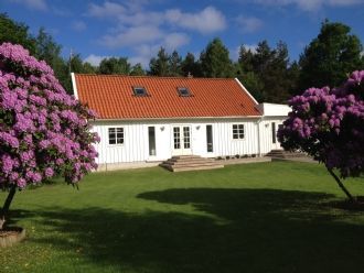 Titta på annonsen