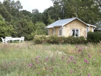 Klicka för att läsa annonsen