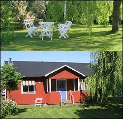 Klicka för att läsa annonsen