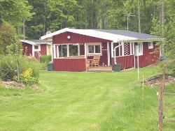 Klicka för att läsa annonsen