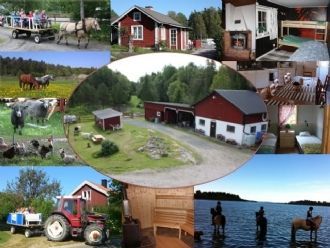 Klicka för att läsa annonsen