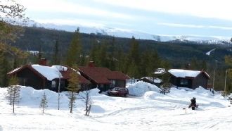 Klicka för att läsa annonsen