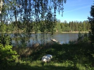 Klicka för att läsa annonsen