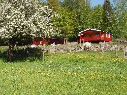 Klicka för att läsa annonsen