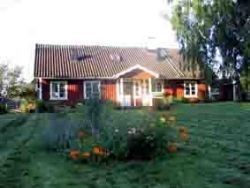 Titta på annonsen