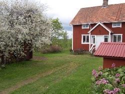 Klicka för att läsa annonsen