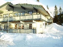 Åre Björnen Illern