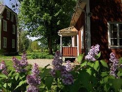Klicka för att läsa annonsen