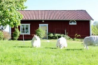 Stuga
