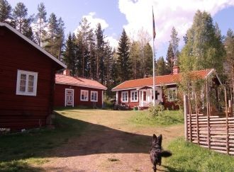 Titta på annonsen