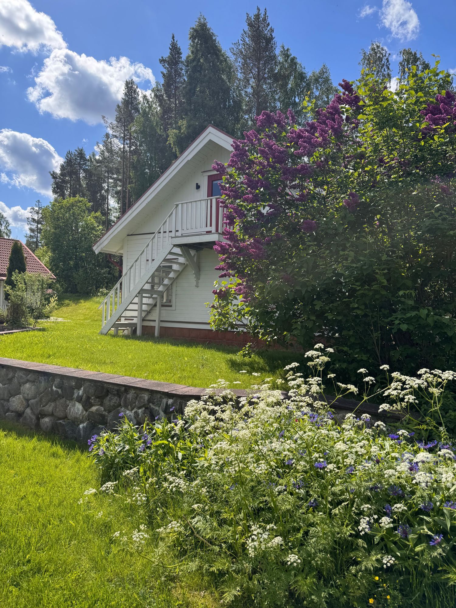 Paradis på sjötomt
