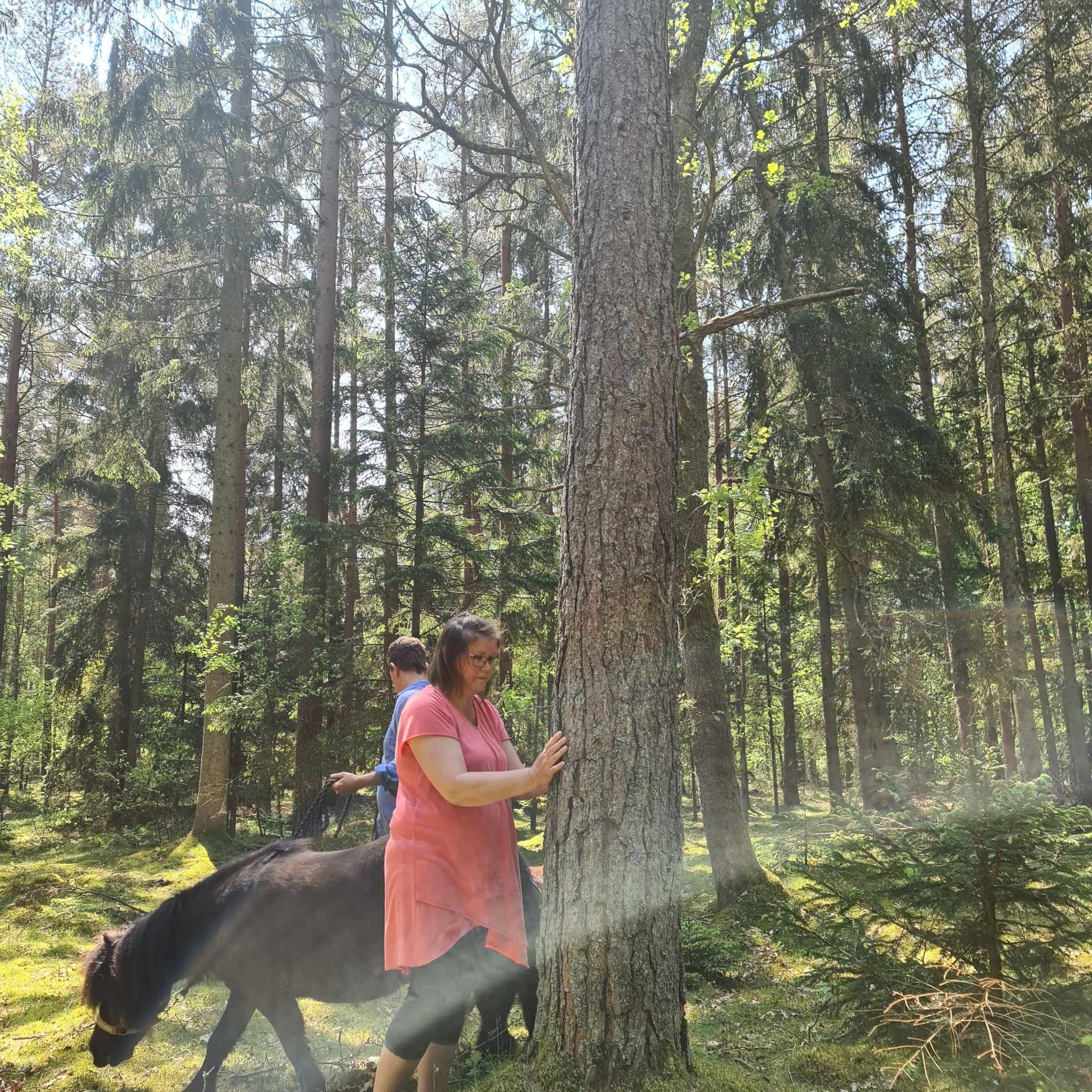 Mysig stuga i naturidyll – bild 13 av 17