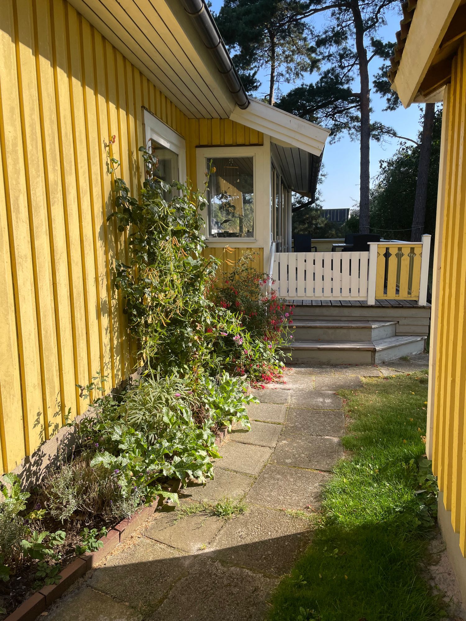 Strandnära stuga uthyres på Österlen. – bild 4 av 24