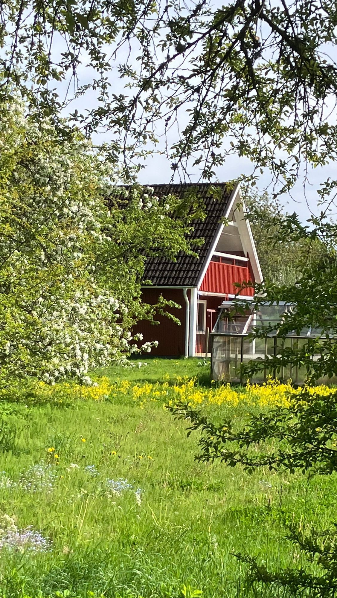 Trivsamt hus på landet - Småländska höglandet – bild 5 av 23