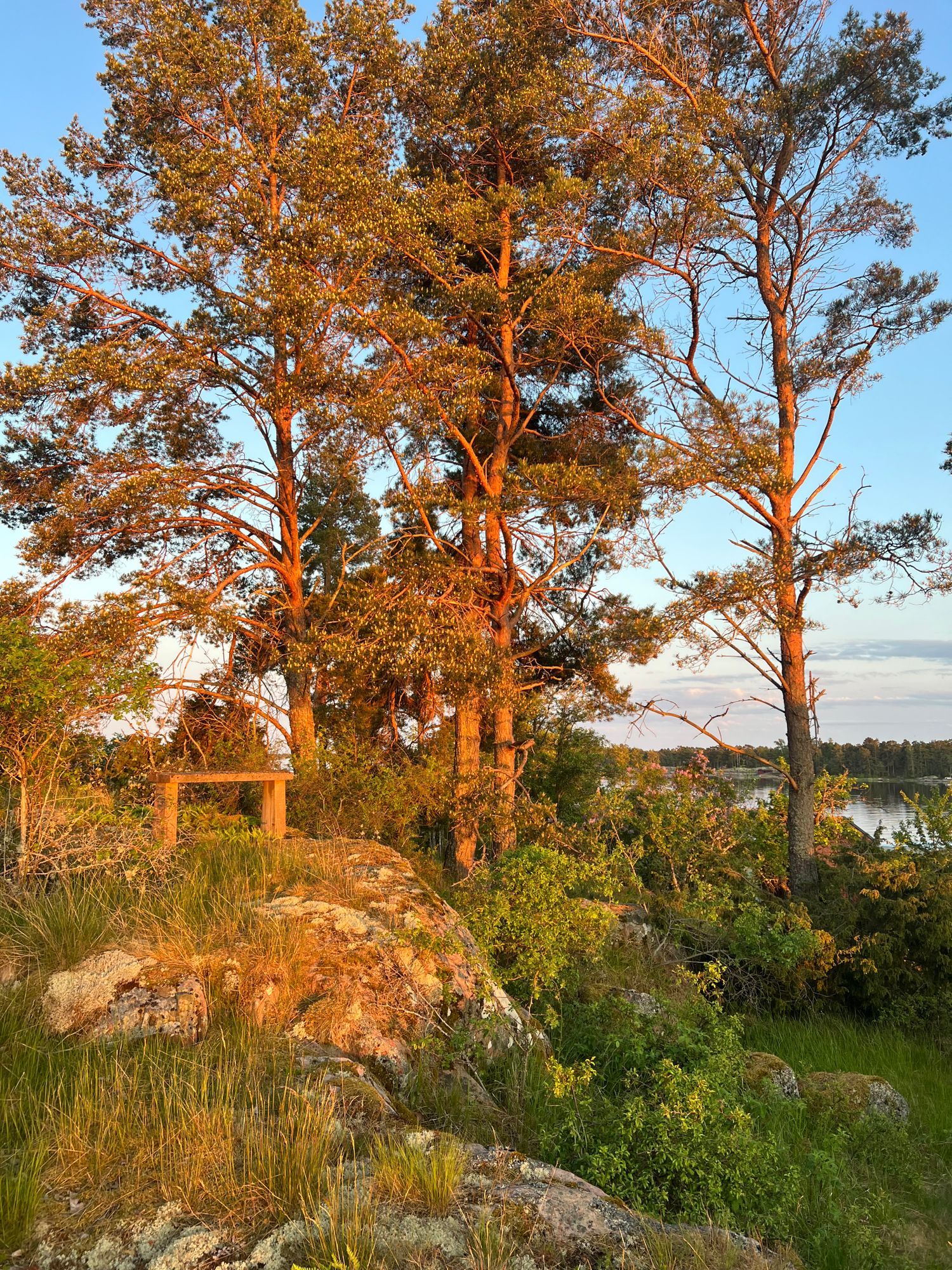 Sommarhus på skärgårdsö – bild 23 av 24