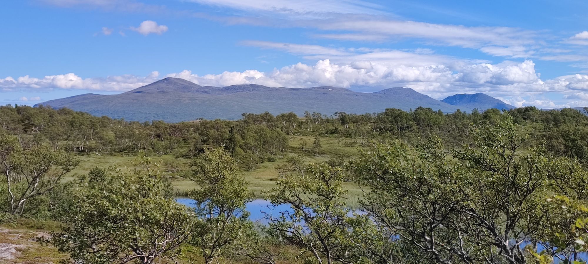Fjäll-lien stugby, Storlien – bild 6 av 8