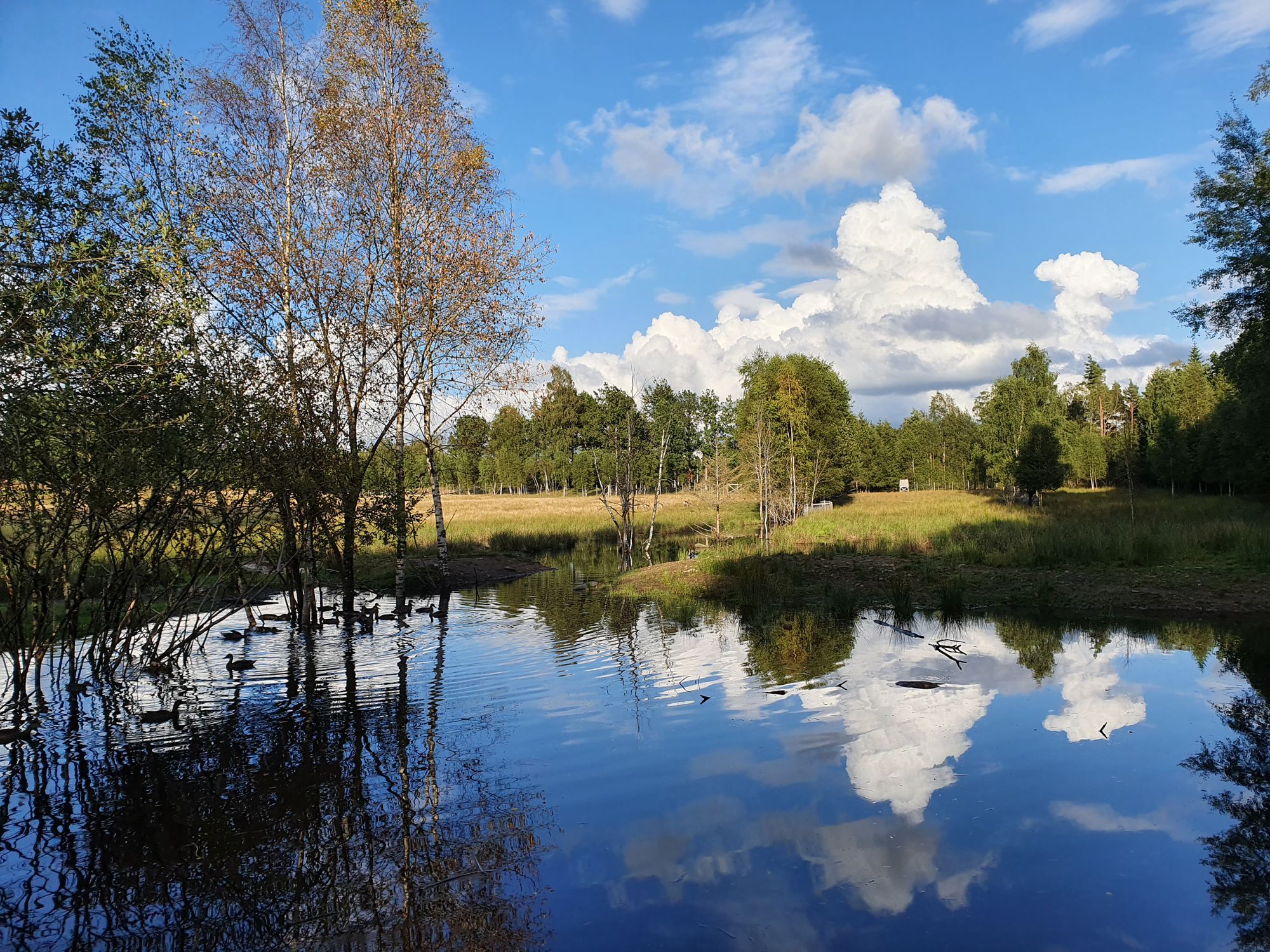 Stuga Soldattorp Byggd 2014 – bild 5 av 16