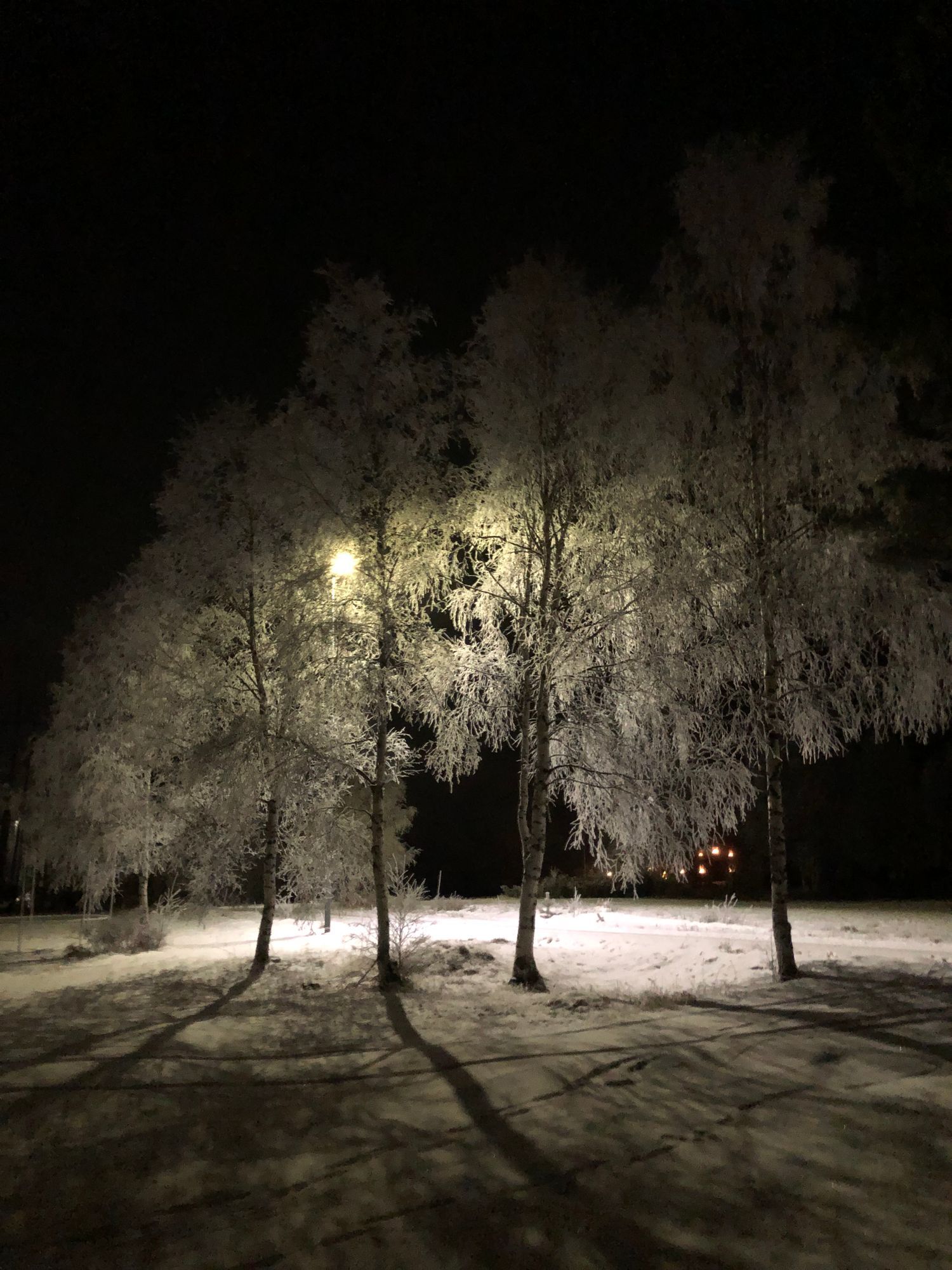 Liten stuga nära Sveg och nära Svegssjön – bild 22 av 24