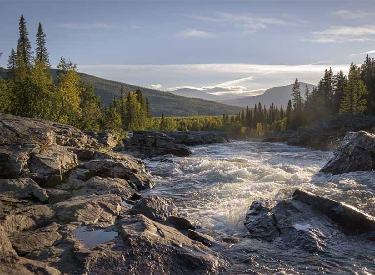Stuga vid Klarälvens strand i Branäsbergets dal – bild 16 av 19