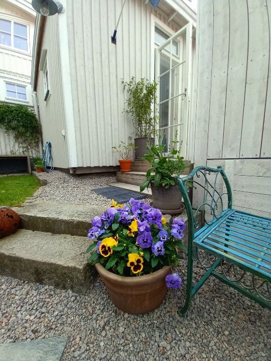 Hus vid Norra hamnen i Strömstad – bild 7 av 10