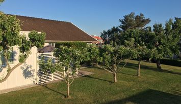 Mysig enplansvilla i lummig trädgård!