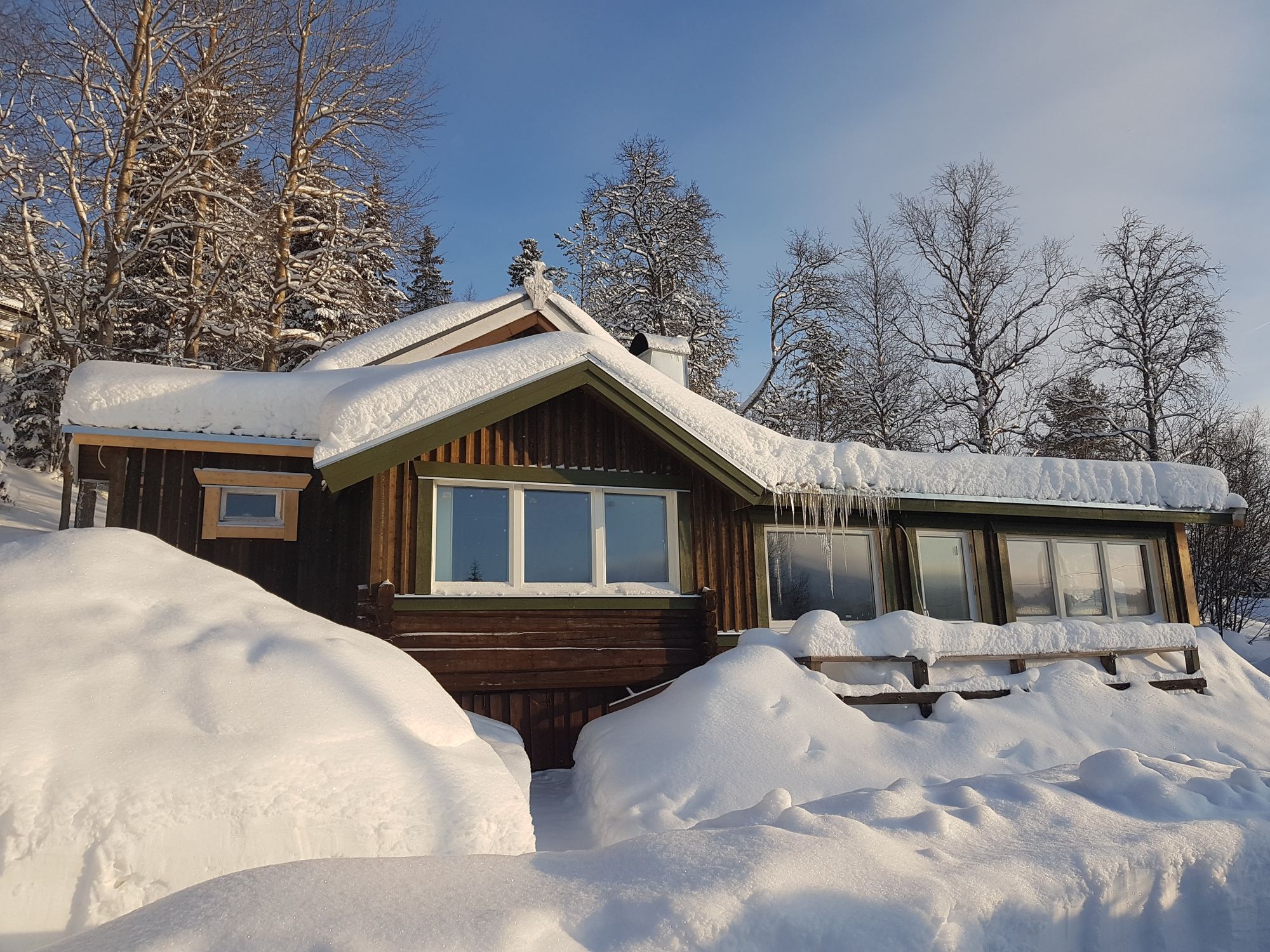 Mysig fjällstuga.
