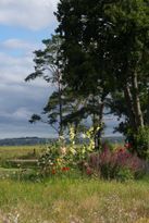 Ferienhäuser mit Meerblick