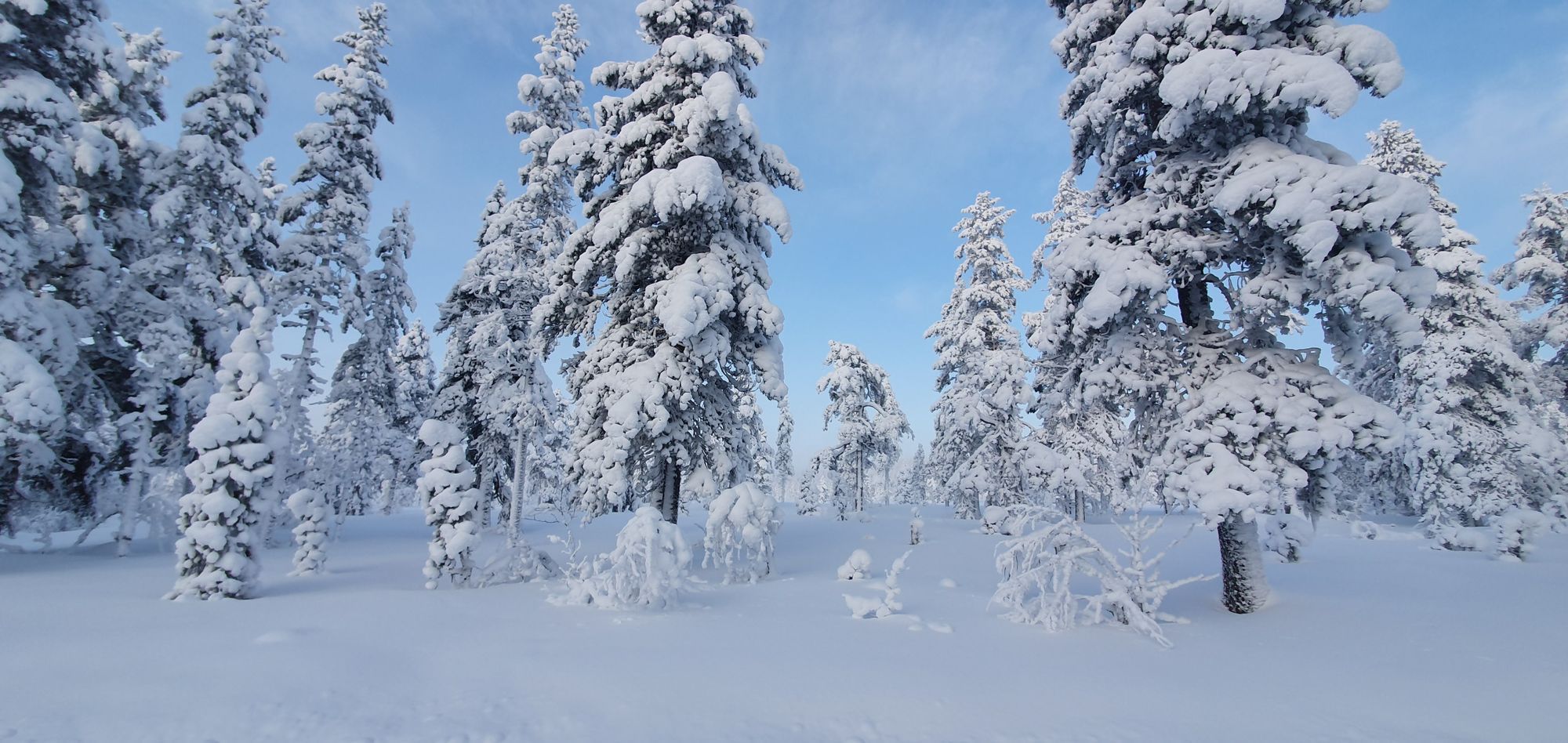 Genuin fjällstuga vid Tandådalen – bild 22 av 22