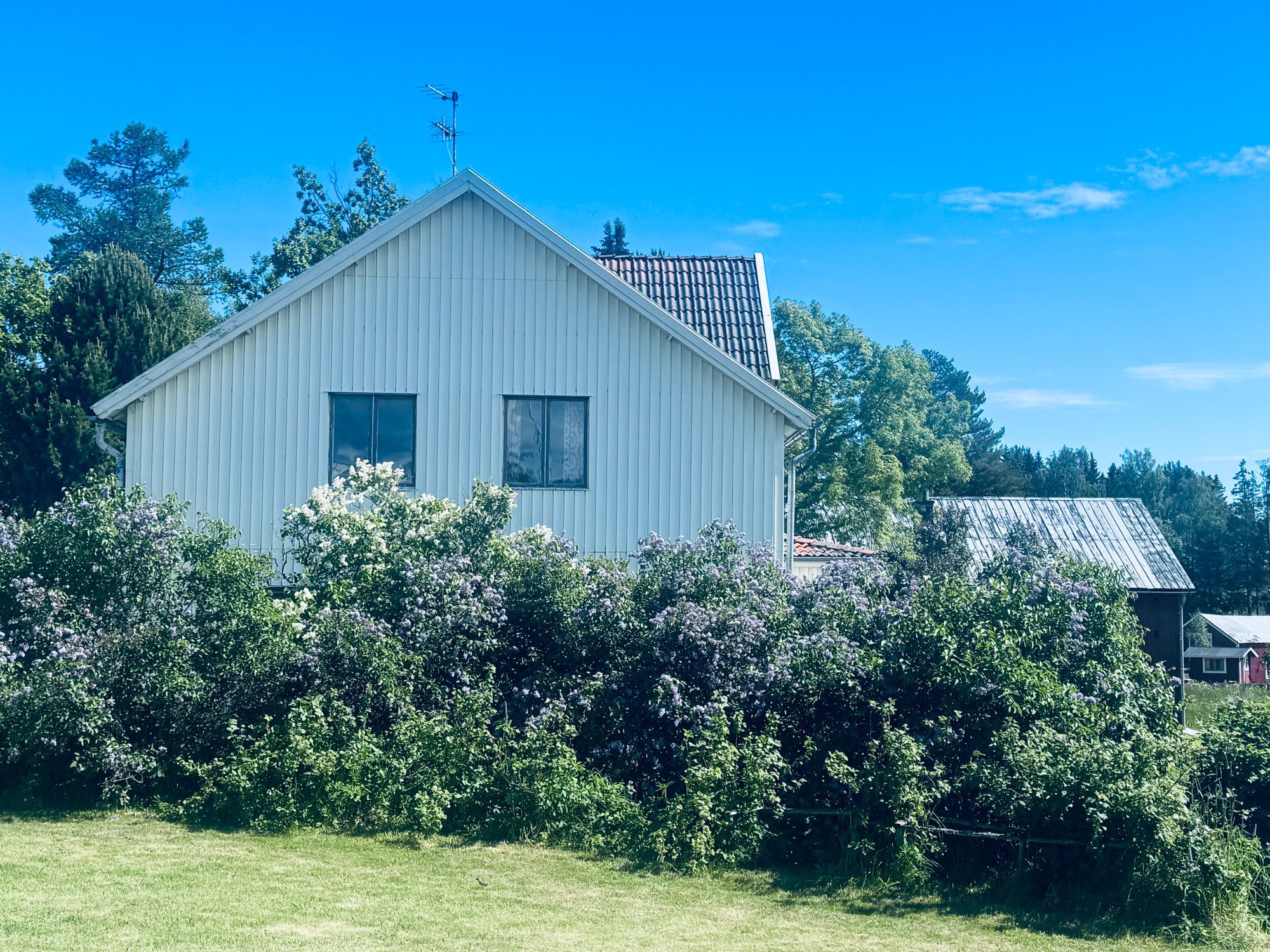 Hundvänligt familjeparadis i Norrfällsviken – bild 5 av 24