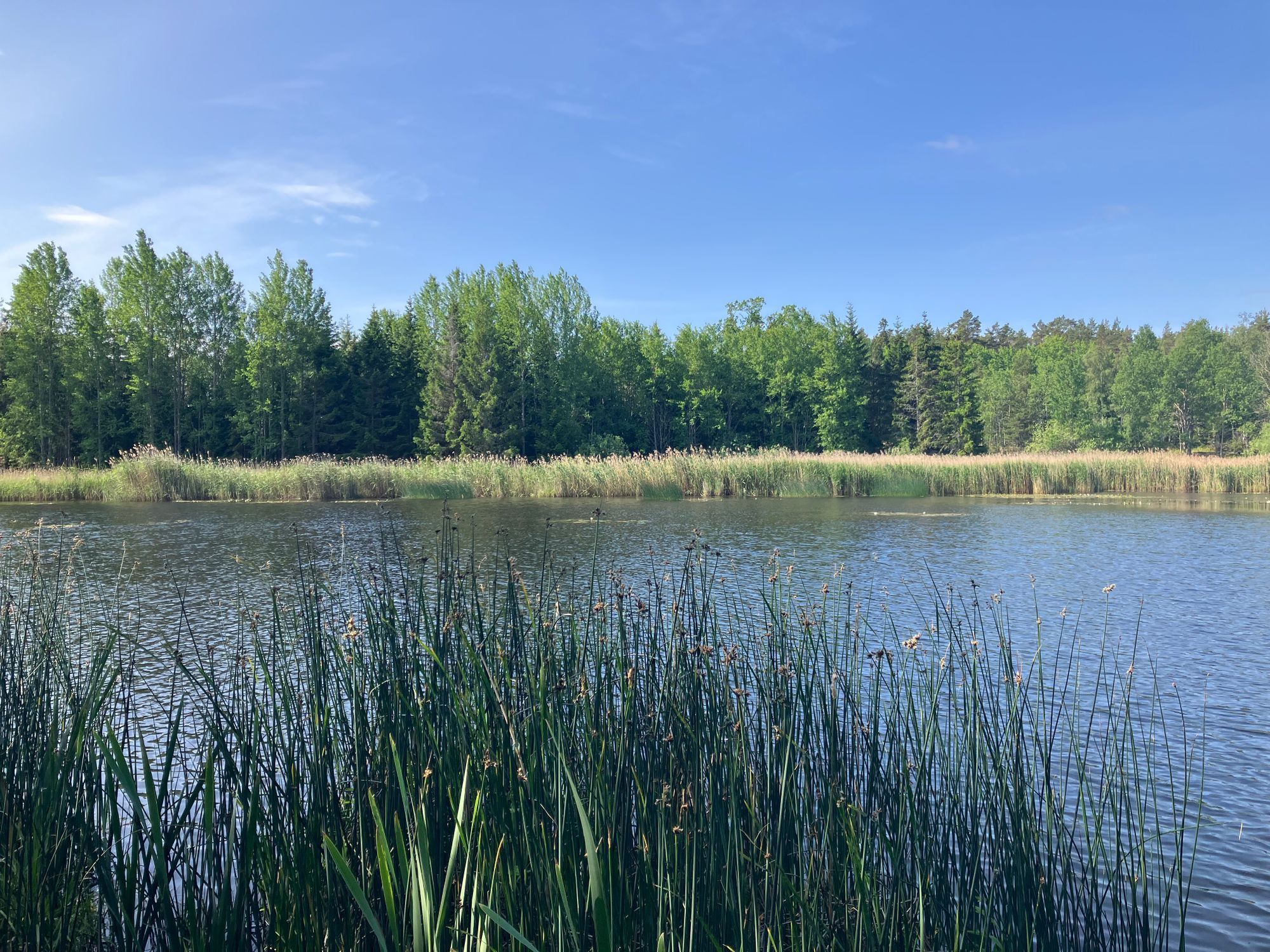 Stuga nära havet – bild 20 av 22