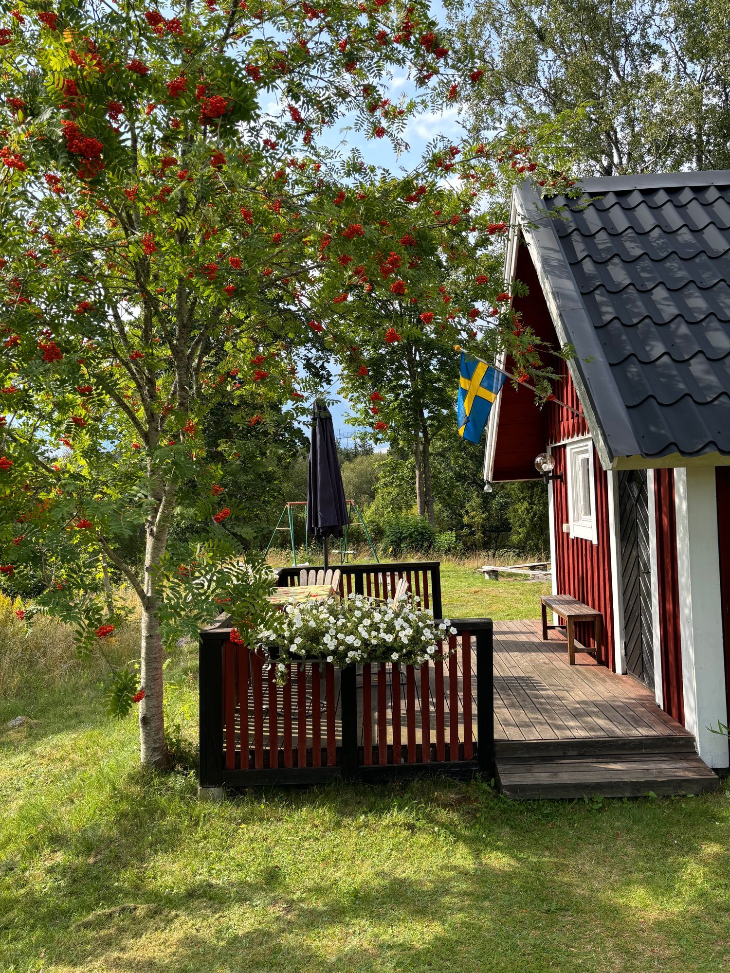 Storslagen natur - Sjön Rusken - Fiske - Ekhult – bild 24 av 24