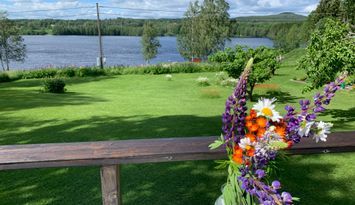 Välutrustad stuga vid Ljusnans strand