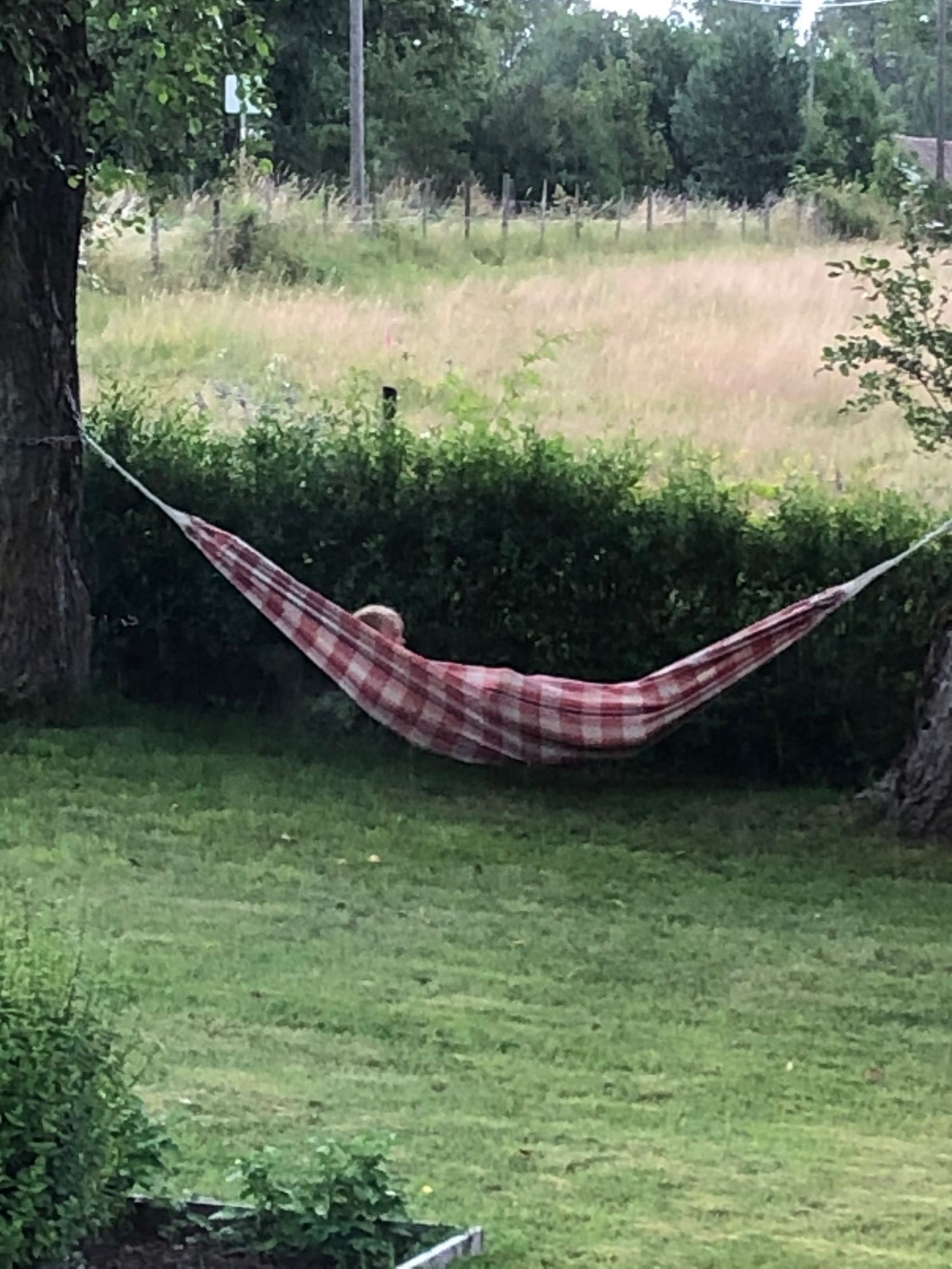Sjönära idyll – bild 10 av 19