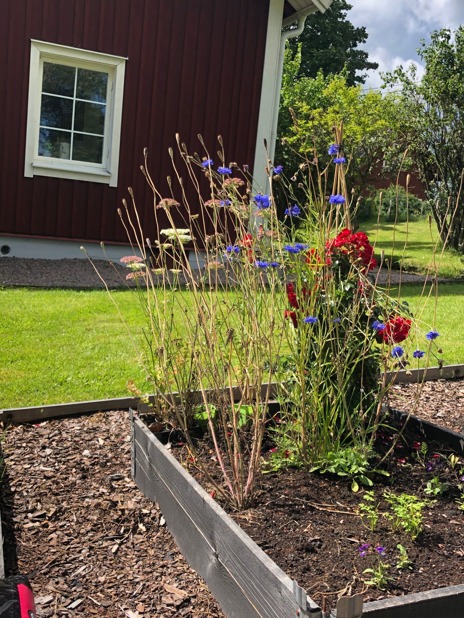 Sjönära idyll – bild 13 av 19
