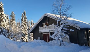 Tegefjäll, barnvänligt vid skogen