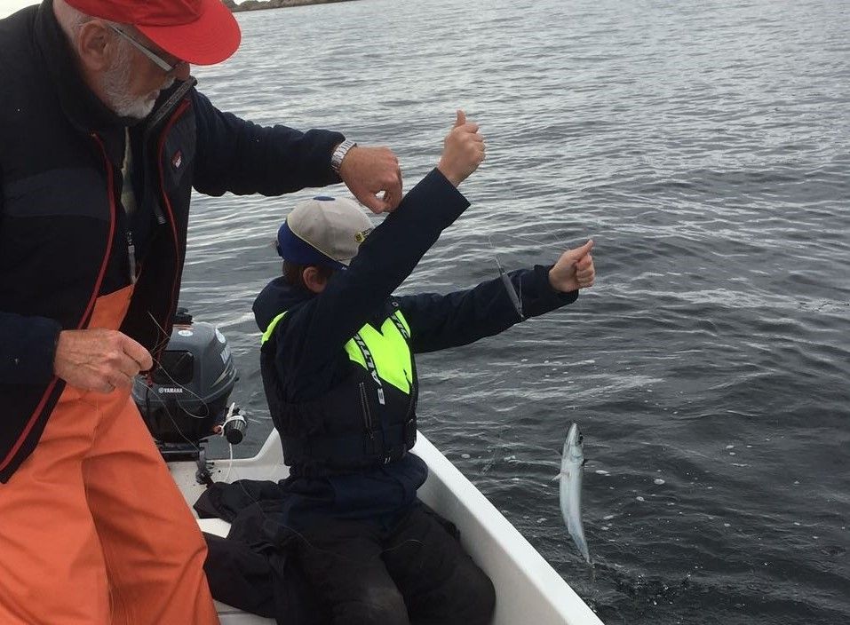 Havet, två meter från - med egen brygga. – bild 14 av 20