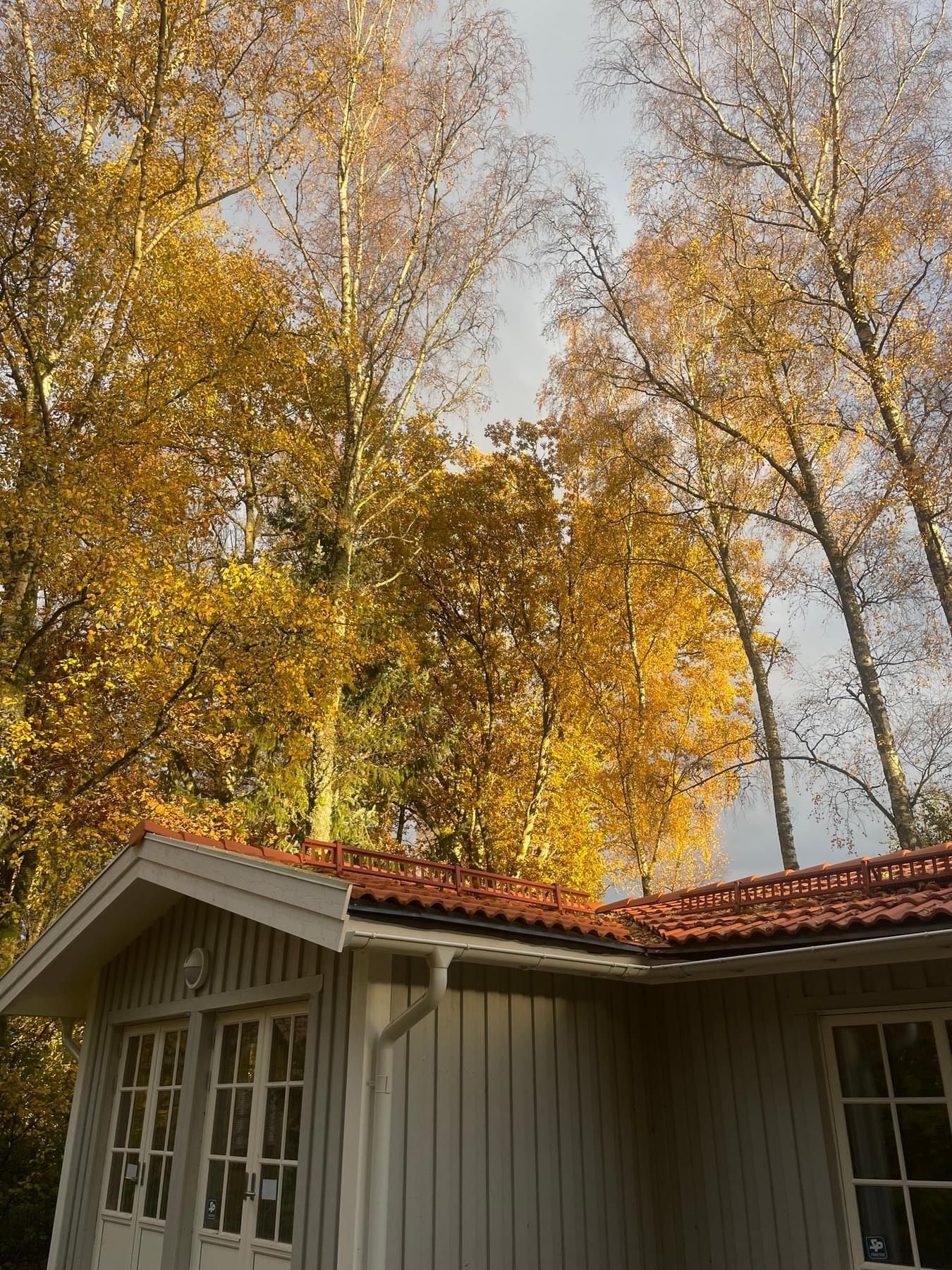Nybyggt fritidshus uthyres – bild 8 av 17