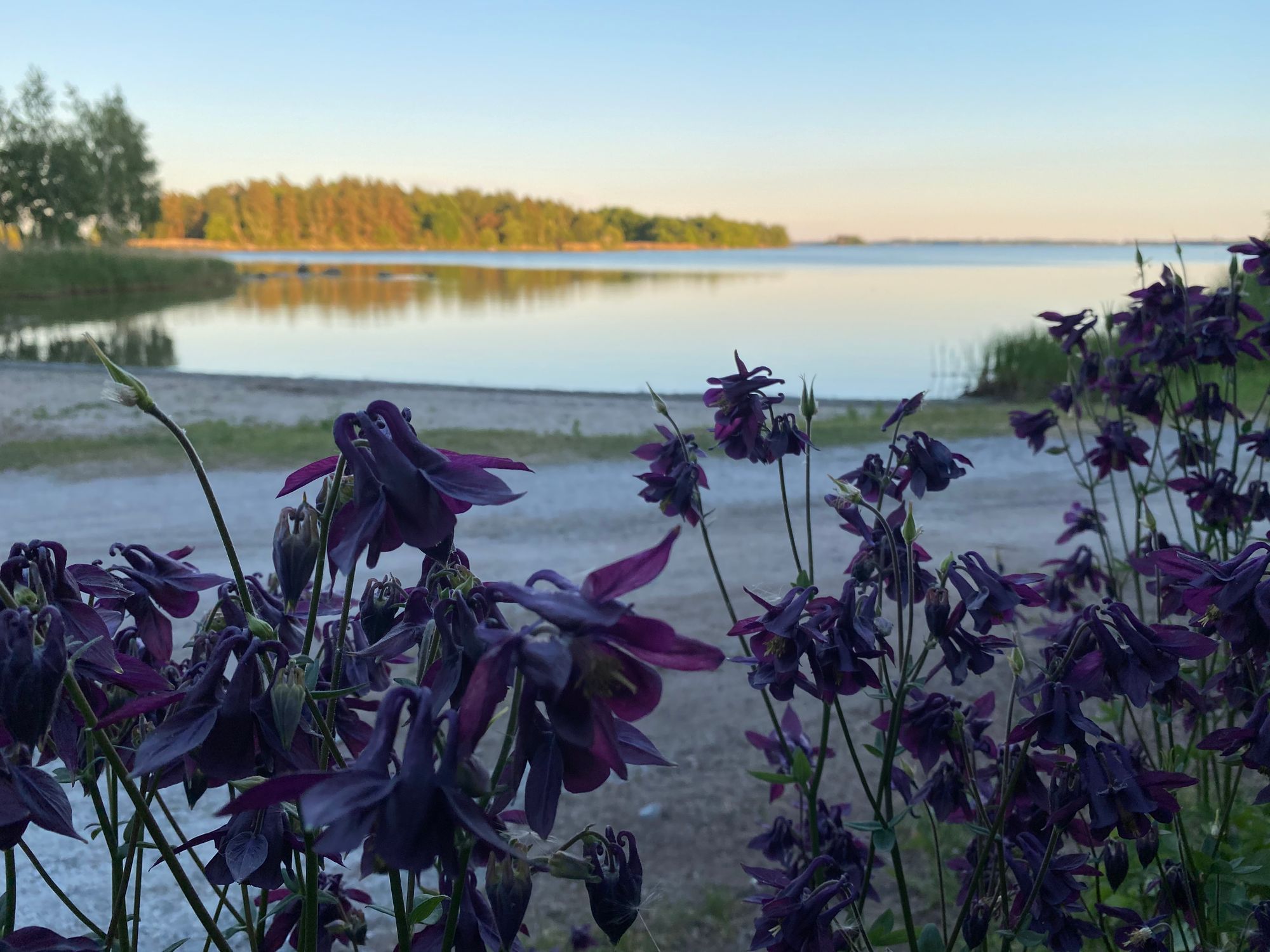 Stuga vid havet – bild 13 av 14