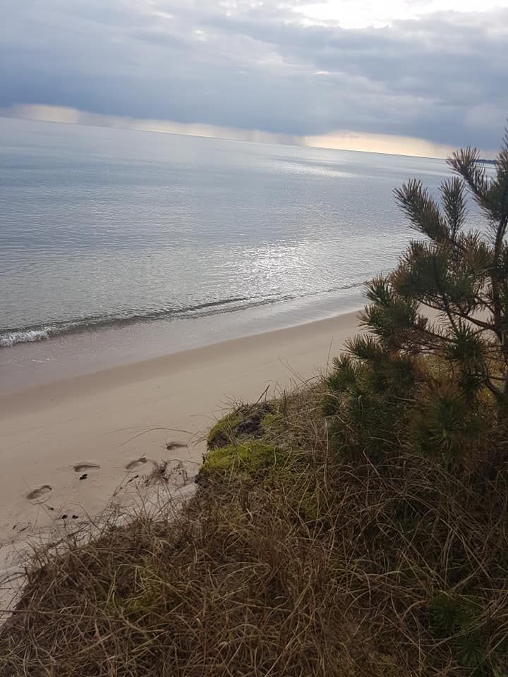 Ystad Sandskogen – bild 17 av 19