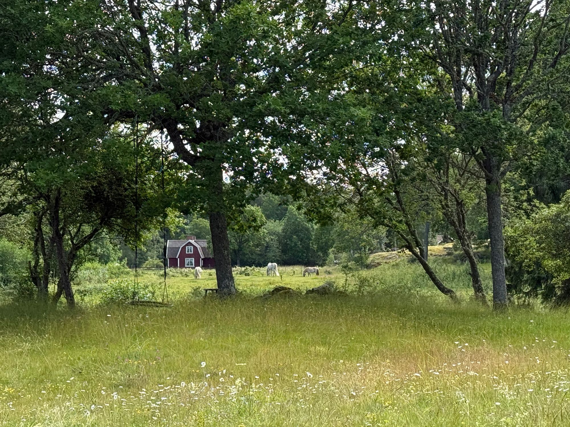 Torö - Skärgårdsstuga – bild 6 av 23