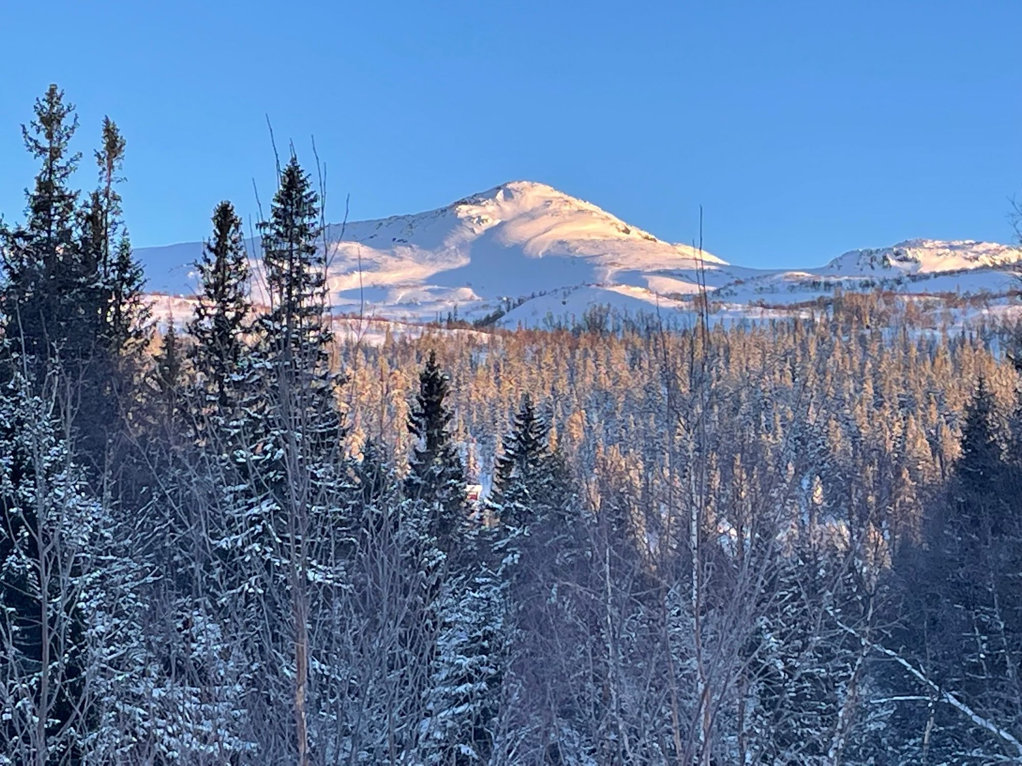 Nybyggd stuga i Bydalsfjällen ski-in/ski-out läge! – bild 23 av 24