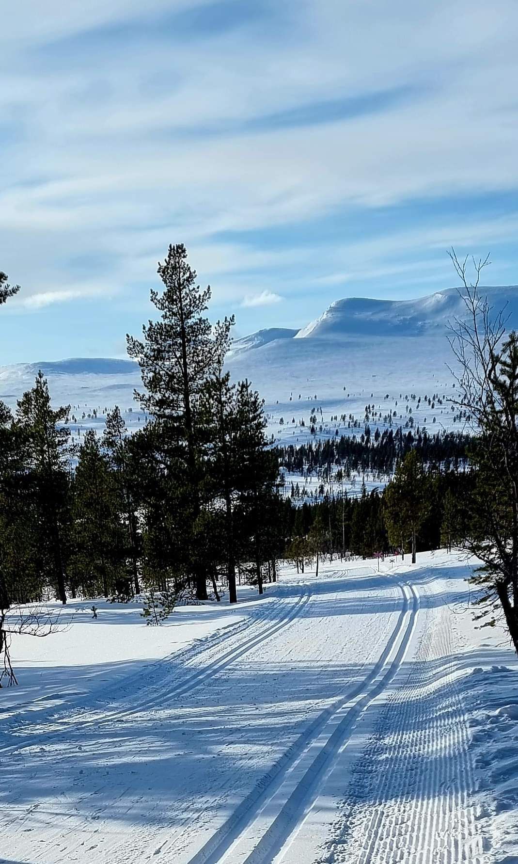 Nybyggd fjällstuga i Grövelsjön – bild 23 av 24