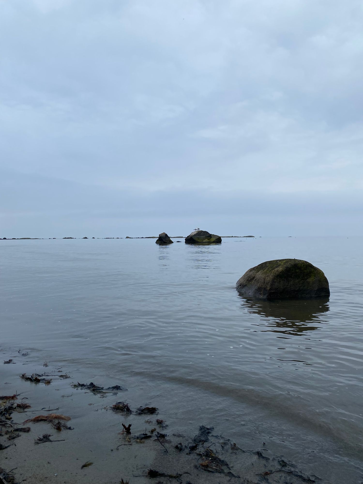 Haverdal - precis vid naturreservat och sandstrand – bild 5 av 16
