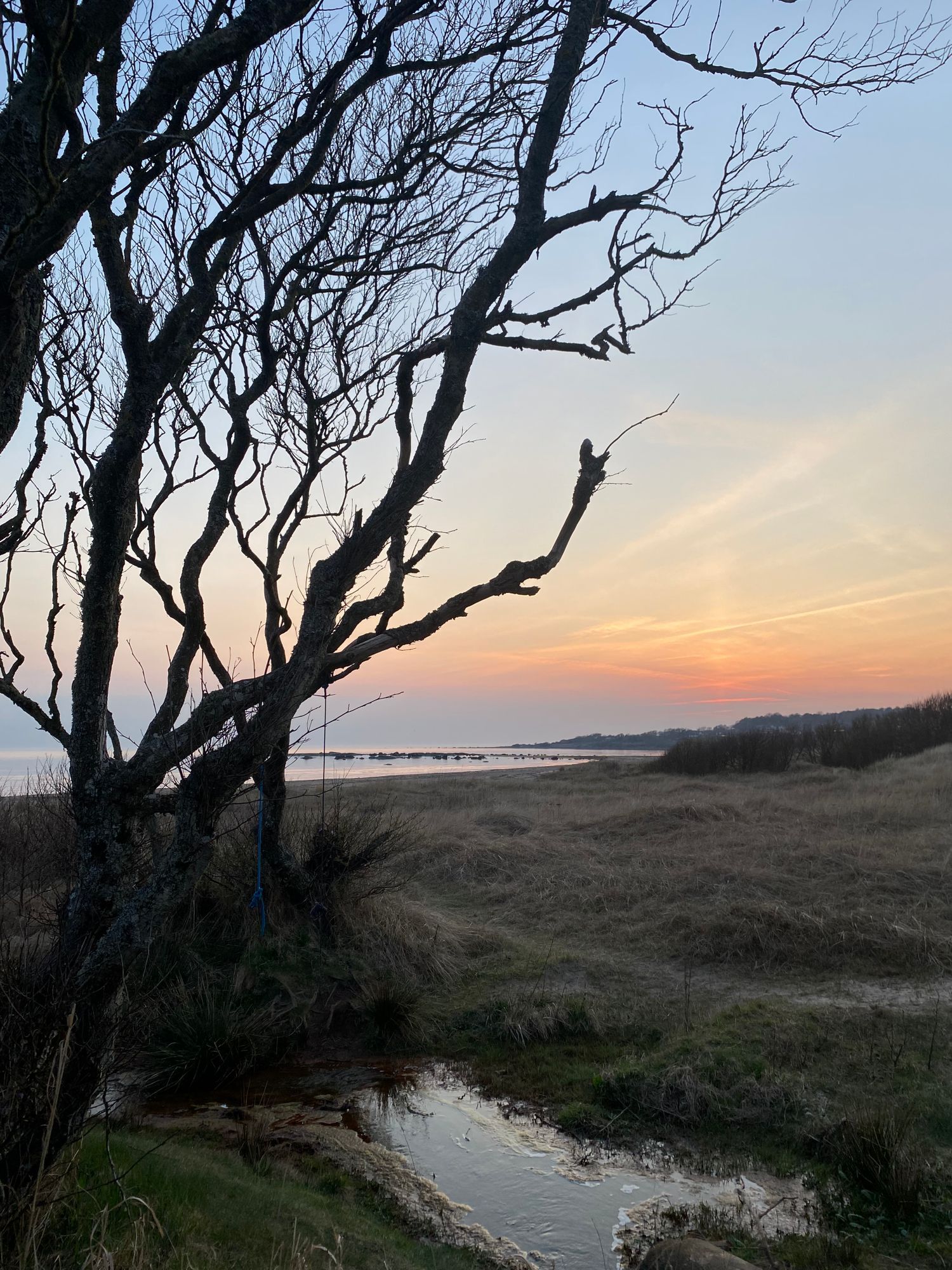 Haverdal - precis vid naturreservat och sandstrand – bild 2 av 16