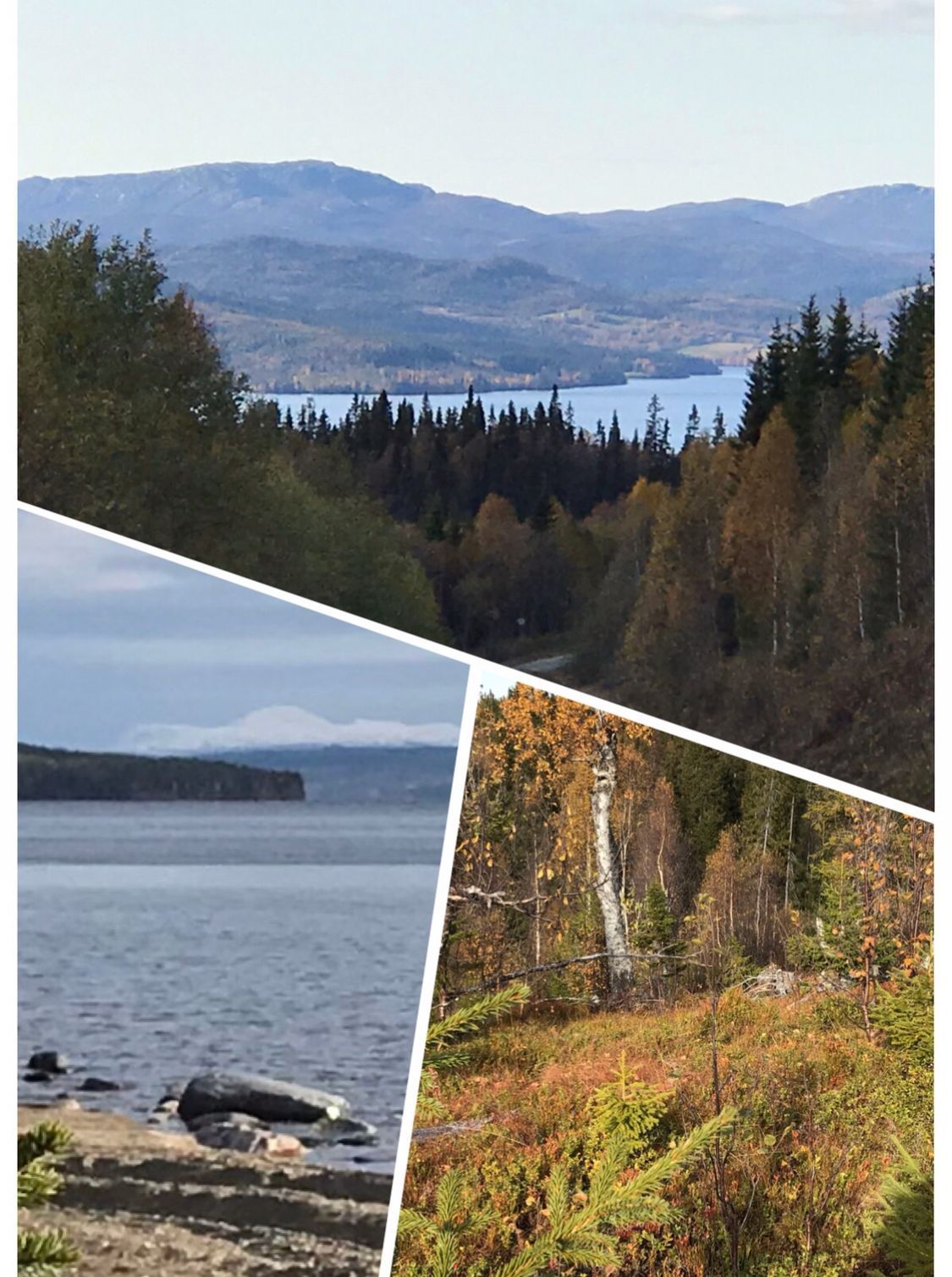 Stuga i nära fjällmiljö/ strandnära