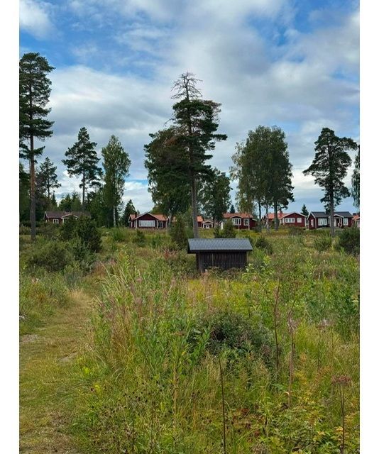 Välskött året-runt-stuga i Bäcka, Orsa! – bild 15 av 22